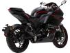 Фото мотоцикла Spark SP300RS-2 вид справа под углом