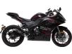 Фото мотоцикла Spark SP300RS-2 вид справа