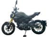 Фото мотоцикла SPARK SP300SC-1 зелёного цвета