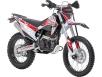 Фото мотоцикла Spark SP300CR-6 красного цвета