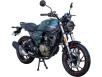 Фото мотоцикла SPARK SP250SC-1 зелёно-серебряного цвета