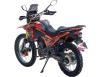 Фото мотоцикла SPARK SP300E-13 вид сзади под углом