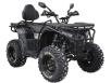 Фото квадроцикла Spark APEX 250 зелёного цвета
