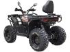 Фото квадроцикла Spark APEX 250 вид сзади под углом