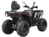 Фото квадроцикла Spark APEX 250 вид справа под углом
