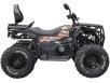 Фото квадроцикла Spark APEX 250 вид справа
