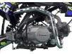 Фото двигателя слева питбайка Spark SP125P-1