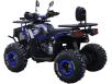 Фото квадроцикла Spark SP150-12 вид сзади под углом