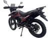 Фото мотоцикла Spark SP300E-12 вид сзади под углом