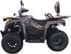 Фото квадроцикла SokMoto TERRA X 250cc вид слева