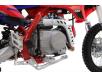 Фото двигателя справа питбайка Apollo Thunder 110cc 14/12
