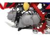 Фото двигателя слева питбайка Apollo Thunder 110cc 14/12