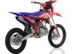 Фото питбайка Apollo Thunder 125cc 17/14 вид сзади под углом