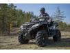 CFMOTO CFORCE 1000 (X10) купить