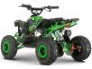 Фото электроквадроцикла FORTE ATV1200QB зелёного цвета вид слева под углом