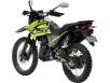 Фото мотоцикла forte cross 300 (xsr300) сзади и слева