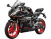 Фото мотоцикла CFMOTO 450SR