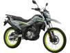 Фото мотоцикла CFMOTO 250 LITE DUAL
