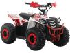 Фото электроквадроцикла Apollo Motors Commander E1000