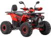 Фото электроквадроцикла FORTE FFD1500