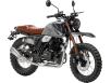 Фото мотоцикла FORTE FT250-F6