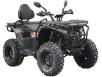 Фото квадроцикла Spark APEX 250