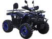 Фото квадроцикла Spark SP150-12
