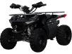 Квадроцикл Hamer Raptor 125