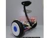 ninebot	