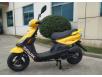фото желтого скутера Spark SP125S-14