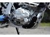 фото мотора мотоцикла SKYBIKE MZK 250 (MOTARD)