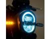 фото оптики мотоцикла Benelli Leoncino 250 Trail EFI ABS