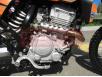 фото двигателя мотоцикла GEON Dakar 250 TwinCam (Enduro)