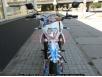 terrax motard 250 цена