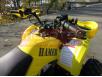фото внешнего вида желтого электроквадроцикла Hamer 1500 GT