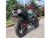 фото зеленого мотоцикла HORNET TEKKEN 250 сзади