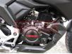 фото двигателя мотоцикла LONCIN LX250-15 CR4