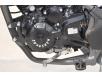 фото мотора мотоцикла SKYBIKE CRDX-200 (21/18)