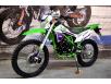 фото зеленого мотоцикла SKYBIKE CRDX-250