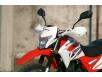 фото защит рук мотоцикла SKYBIKE STATUS-200