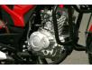 фото двигателя мотоцикла SKYBIKE VOIN 125