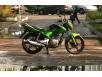 фото зеленого мотоцикла SKYBIKE VOIN 200